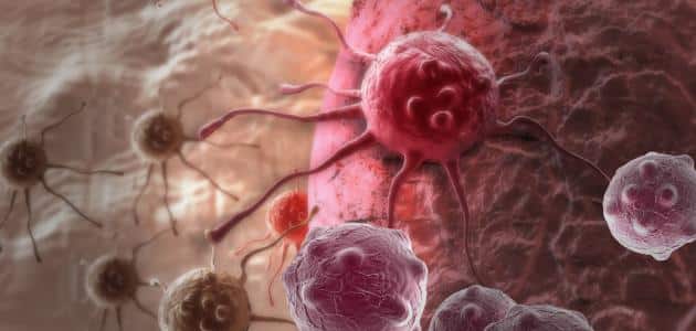 هل السرطان مرض معدي ؟