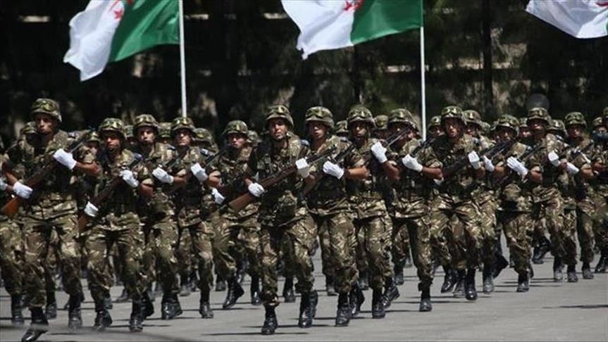 ما هي رتب الجيش الجزائري حسب المستوى الدراسي؟